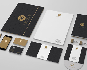 北京vi設計排名